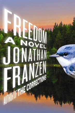 Niente paura, il nuovo libro di Franzen è un bel libro. Non è un gran libro, è tutt'altro che il Grande Romanzo Americano, non è neanche la metà de Le correzioni ma è bello. Però non è quello che poteva essere.